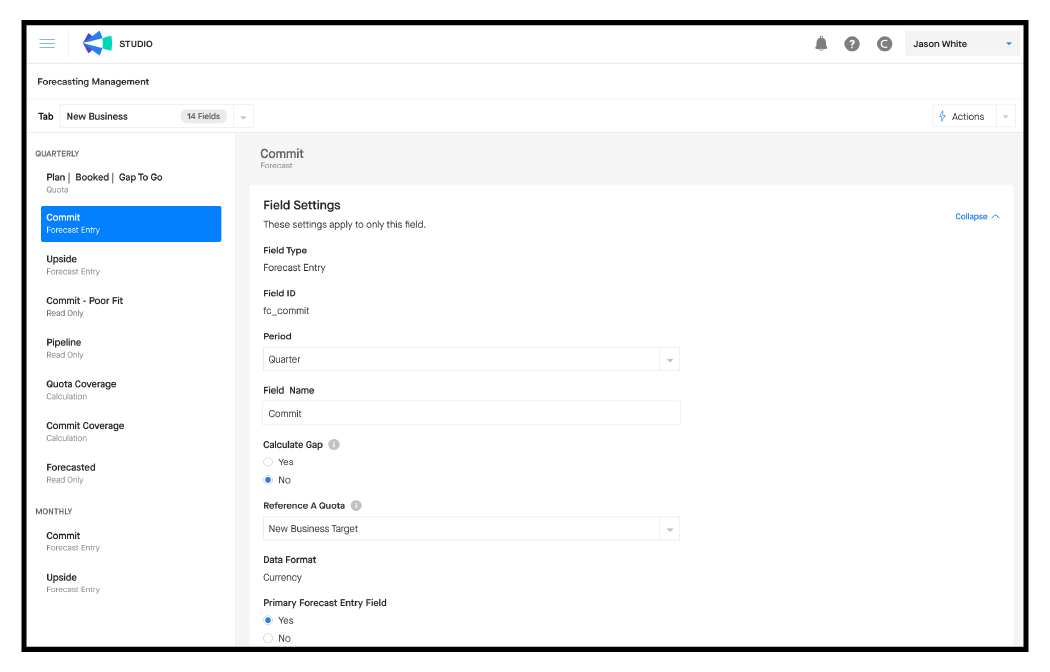 Screenshot of Clari Studio field settings